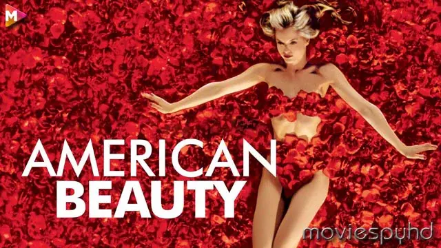 American Beauty