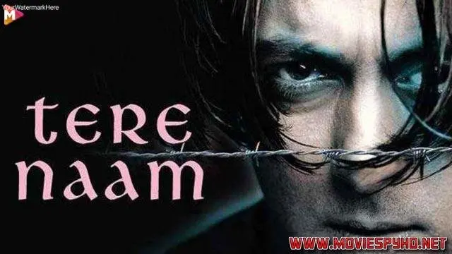 Tere Naam